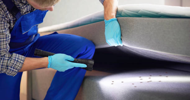 Best Cockroach Control Services  in Frazer, PA