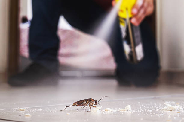 Best Commercial Pest Control Services  in Frazer, PA