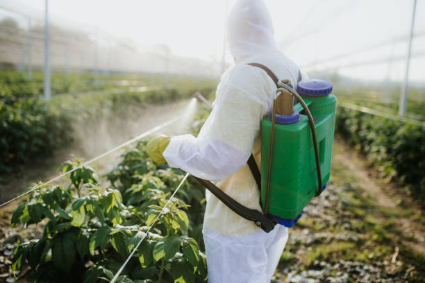 Best Best Pest Control Companies  in Frazer, PA
